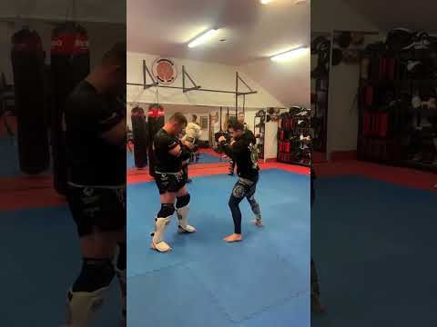 ผลสลากกินแบ่งรัฐบาล วันที่ 1 พย. 2567