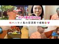 【ハワイ在住Vlog】ハワイ島の居酒屋さんで日本食堪能♡