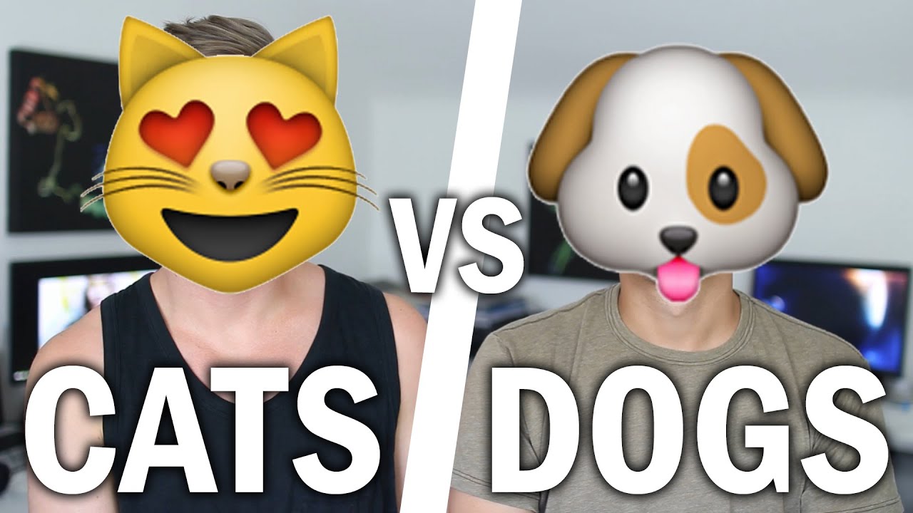 Dogs Are Better Pets Than Cats Debate Dogs Are Better Pets Than Cats Debate