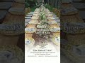 Experience Your Wedding Reception Before Your Wedding Day Experience Your Wedding Reception Before Your Wedding Day
