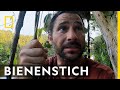 Von Bienen zerstochen! | Extreme Survival mit Hazen Audel