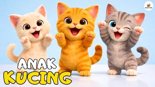Lagu Anak Anak  Anak Kucing Meong Meong  Lagu Anak U0026 Balita Terbaru Viral