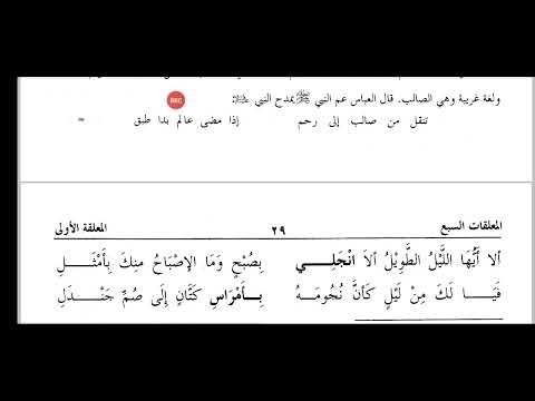 شرح معلقة امرئ القيس 46 الاستاذ السيد محمد بن مصطفى السقاف