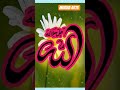 Arabic Calligraphy||| Beautiful calligraphy#art #arabicart#calligraphy#trending #youtubeshorts