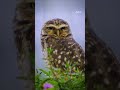 Say hello to our wildest guests yet 👋🦜