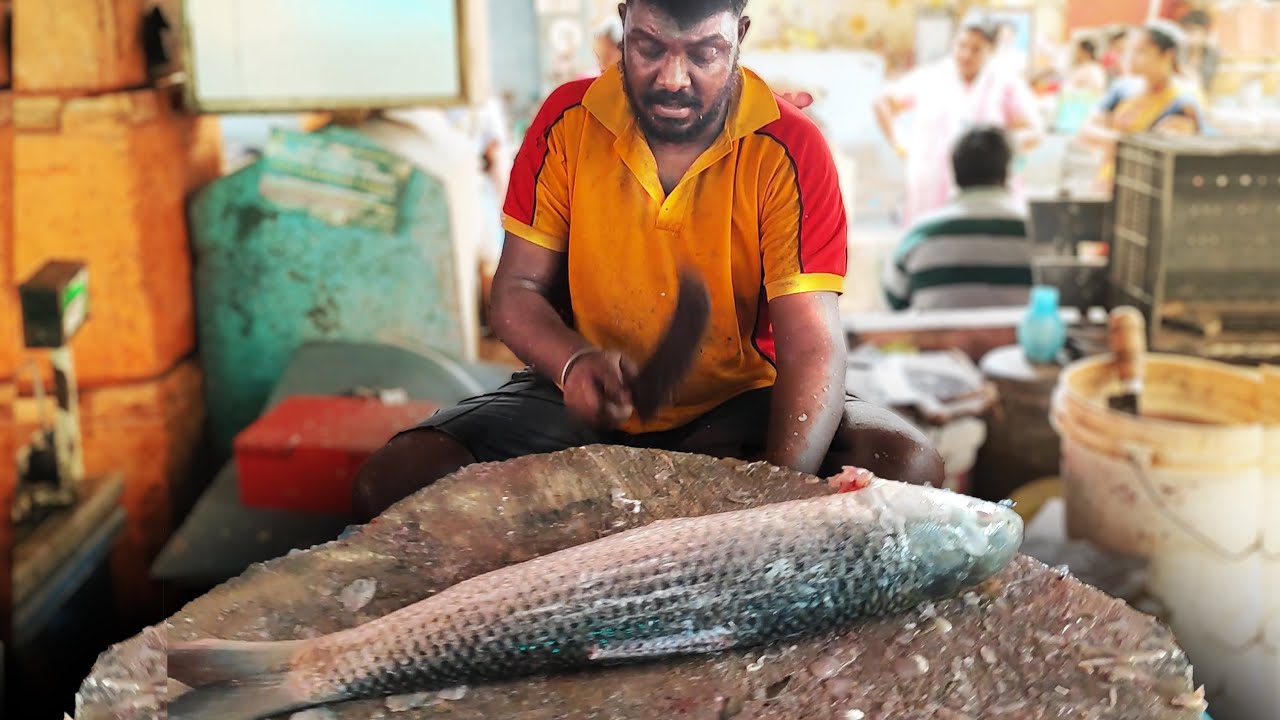 🔥 KATLA FISH CUTTING SKILLS BY VENKAT ANNA IN ZAM BAZAAR FISH MARKET 