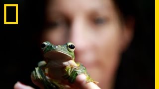 Lucy Cooke: Saving the Creeps | Nat Geo Live