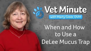 Vet Minute: When and How to Use a DeLee Mucus Trap
