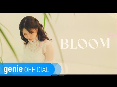 혼담 HONDAM - BLOOM Official M/V