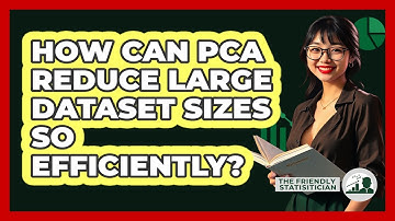 How Can PCA Reduce Large Dataset Sizes So Efficiently? - The Friendly Statistician