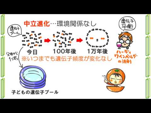 生物６章５話「動物と進化」ｂｙWEB玉塾