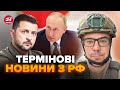 💥БЕРЕЗОВЕЦЬ: Зеленського оголосили в РОЗШУК. НЕОЧІКУВАНІ втрати росіян на Донеччині