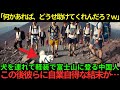 【海外の反応】「俺たちは日本人のように貧弱じゃないんだよw」犬を連れて軽装で富士山を登る舐めた中国人観光客…この後彼らに自業自得な結末が…
