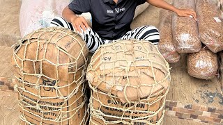 A Fan Trusted And We Delivered Immediately Send In Your Orders To 07046460069