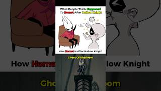 What people think happened to hornet - hollow knight silksong