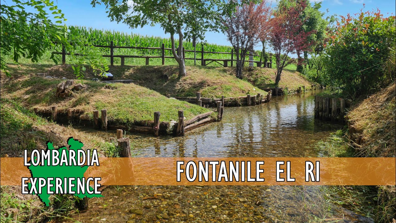 DOVERA: le fredde acque del fontanile riqualificato da volontari e cittadini