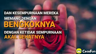 Wanita itu istimewa || Story' wa terbaru 2020