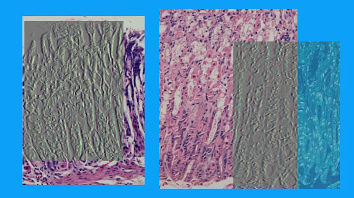 61B6D81FFAF9E2C6780668ED3D0D31#1