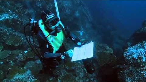 Ocean Health Index provides valuable data