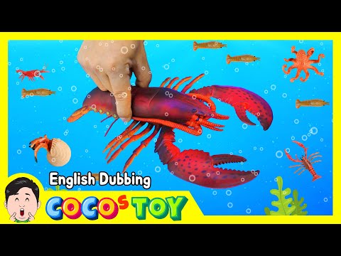 En Dubbing｜Let&amp;#39;s raise lobsters and octopuses in my fishbowl｜sea animals for kids｜CoCosToy