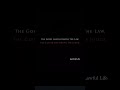 #goodlawyer #judge #courtroom #courtdate | Lawful Life