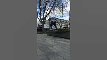 Fs noseslide to fakie