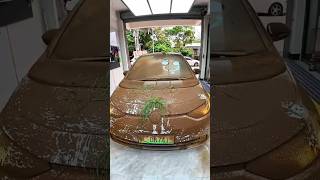 POV: Washing Volkswagen muddy
