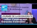 Journe mondiale de la biodiversit biologique  1 million despces sont menaces dextinction