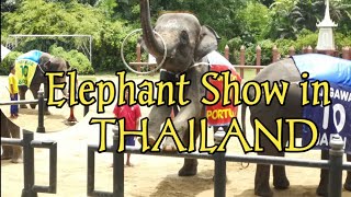 Nakakamanghang talento ng mga elepante sa Thailand. (ELEPHANT SHOW IN THAILAND)