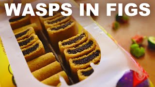 Figs Have Tiny Dead Wasps Inside Them But Theyre Ok To Eat