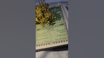 surah Ikhlas #سورة_الإخلاص #ikhlas #اكسبلور #lifeisbutadream #kardokaram #تيك_توك #ترند