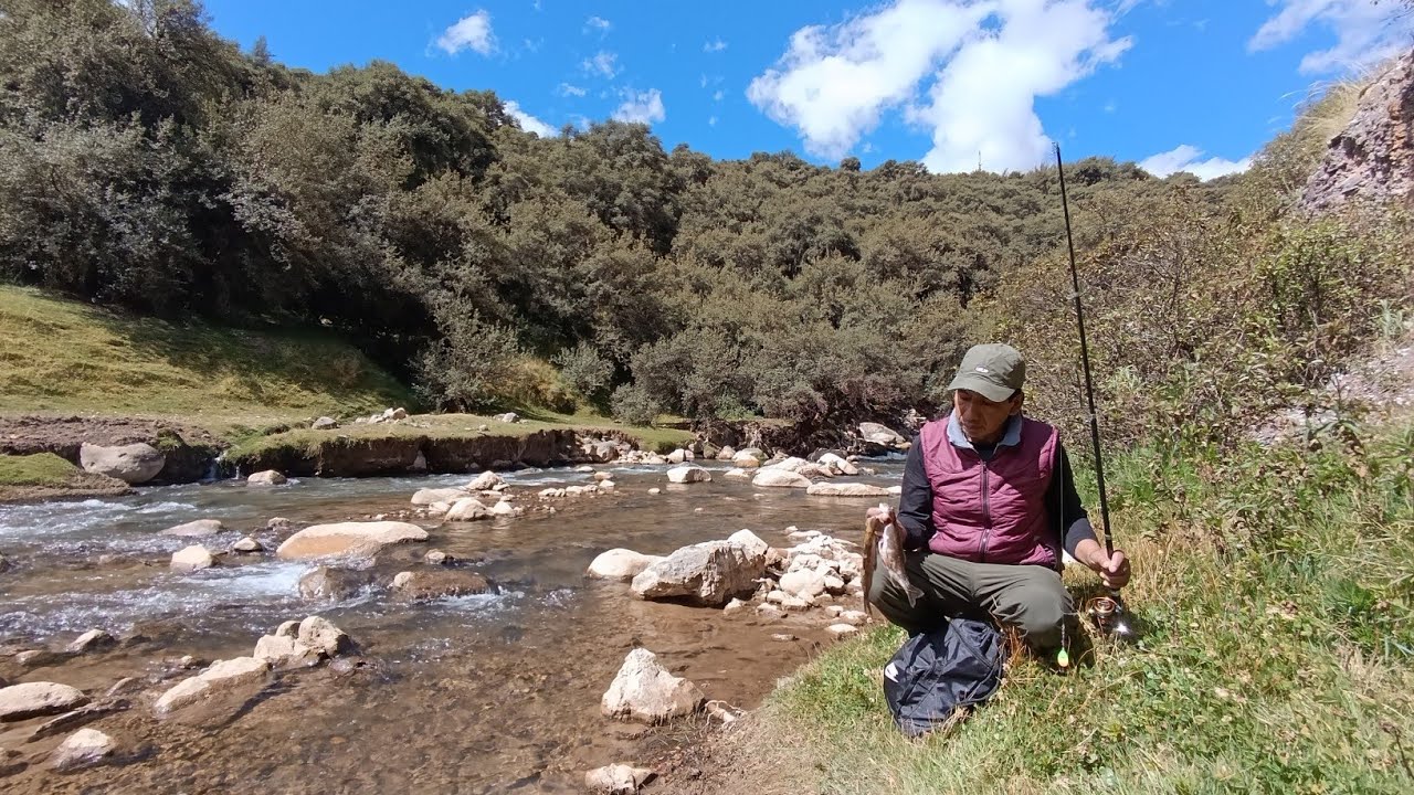 Captura de TRUCHAS salvajes en riachuelo escondido