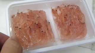 サシエサ　新商品