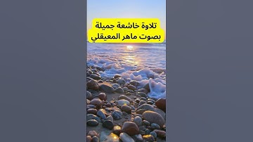تلاوة خاشعة جميلة بصوت ماهر المعيقلي #القرآن_الكريم