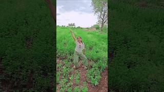 Rani Mukherjee ali #marathisong #remix