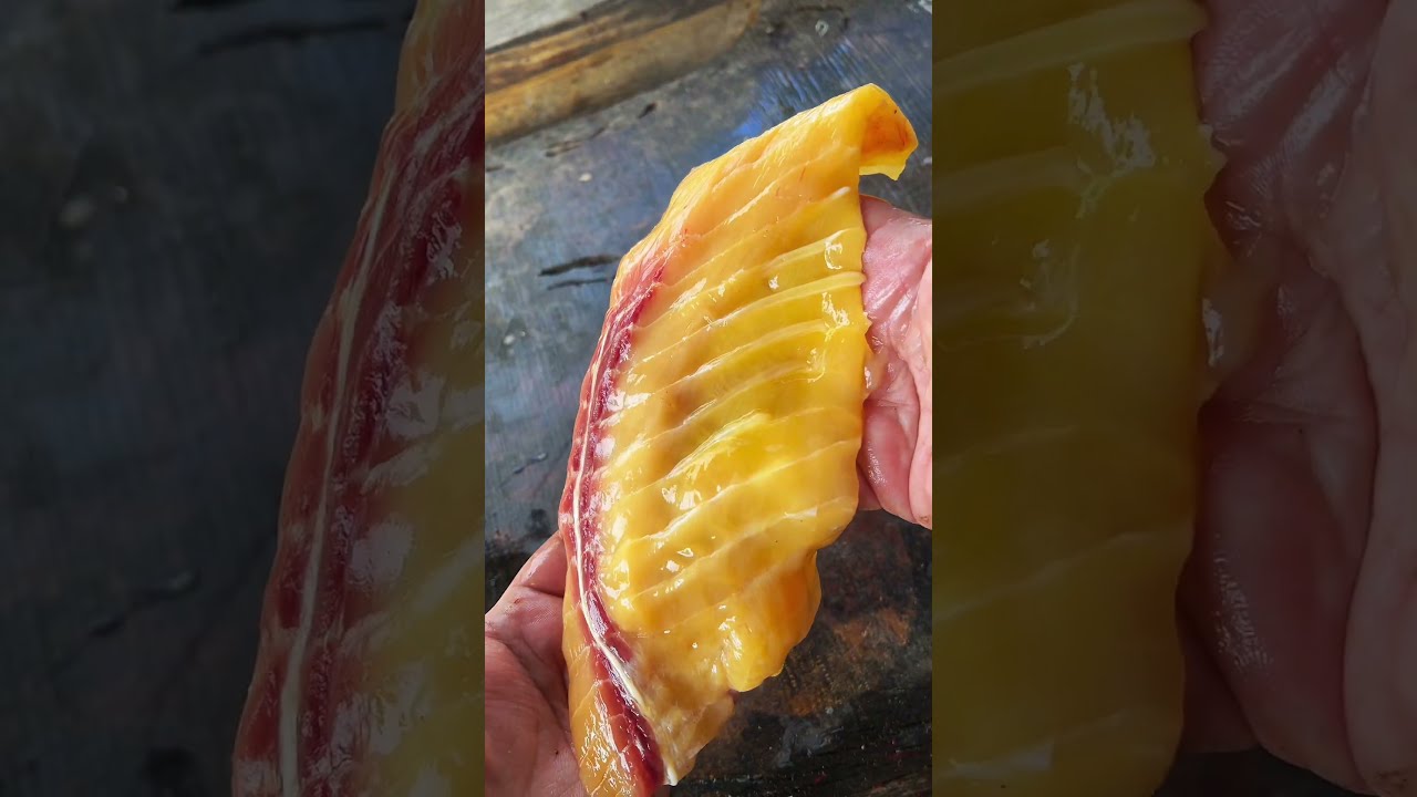 Giant Carp Cook Outdoors Cooking Fishing Shorts