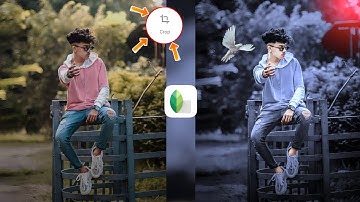 Snapseed Grey And Bird Effect Photo Editing Tricks 🔥 | Snapseed Background Colour Change Tutorial