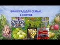 @Виноград для семьи. 6 сортов. Ответ на вопрос