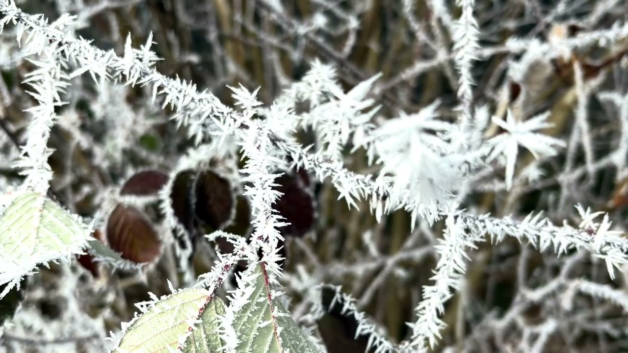 Winterzauber 🩵❄️