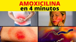 ☢ AMOXICILINA con ÁCIDO CLAVULÁNICO: Para Qué Sirve, Cómo se toma y sus Efectos Secundarios [2023]