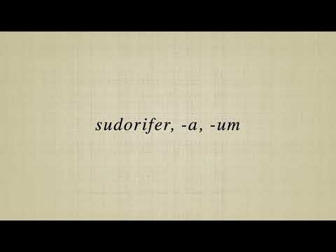 Video: Sudorifer vəzilər ekzokrindir, yoxsa endokrin?
