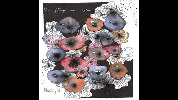 The String & Return - To Light