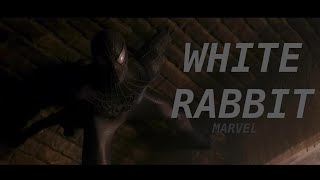 Marvel || White Rabbit (The Matrix Version)