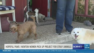 2 women in Newton County are on a mission to help get stray animals off the streets