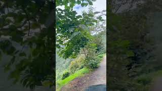 Hiç Mi Korkmuyorsun Ya Bana Kırgın Ölürse Diye.. Ğ