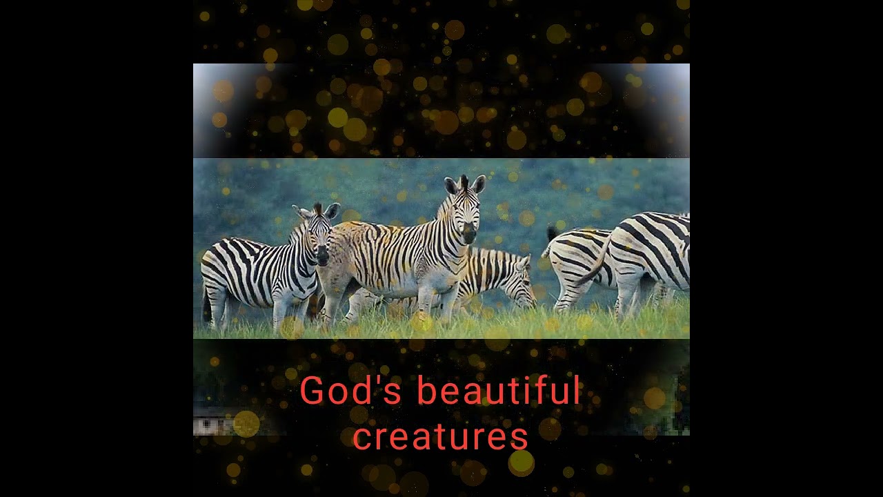 OBUTONZI by Revelations choir