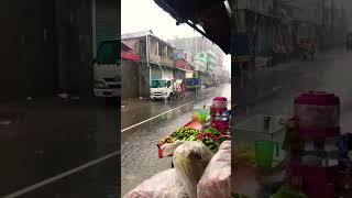 Rain☔️🌿🌸 #foryou #everyone #nature #travel #follower #love #rain #rainsounds