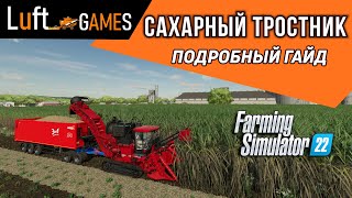 Сахарный тростник: особенности выращивания и выгода | Farming Simulator 22