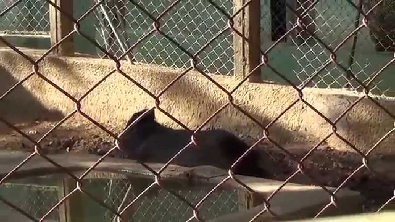 Zoológico de Canindé-CE