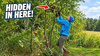 Saving the Plum Trees Hidden in the Overgrowth | Chapter 51